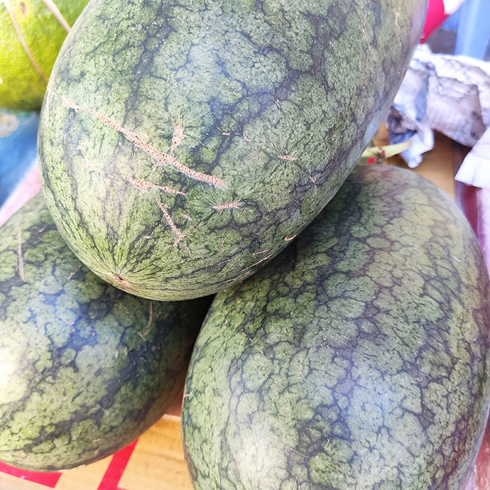 Dưa Hắc Cô Nương (1 trái)